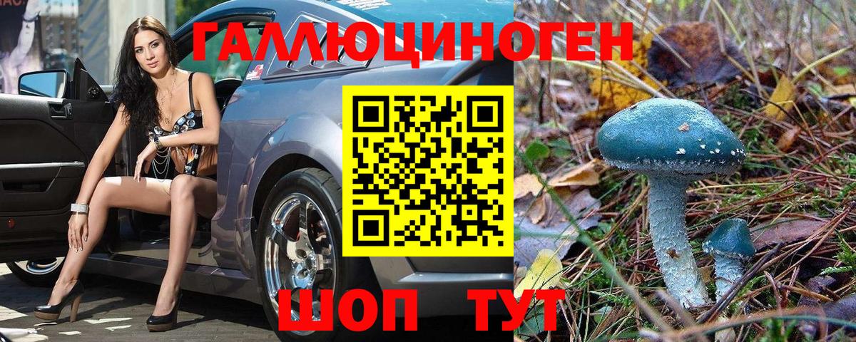 Галлюциногенные грибы GOLDEN TEACHER  где купить наркоту  Курчатов  Вход с VPN 